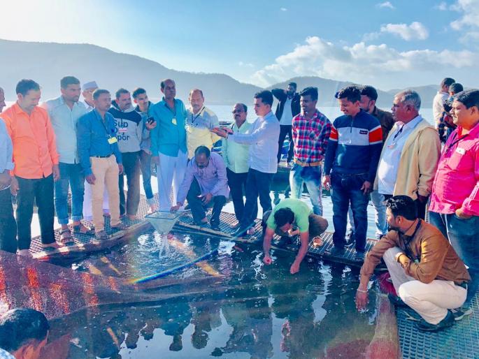 Cage fisheries, farmers' study tours in the ovine reservoir | डिंबे जलाशयामध्ये पिंजरा पद्धतीने मत्स्यपालन, शेतकऱ्यांचा अभ्यास दौरा
