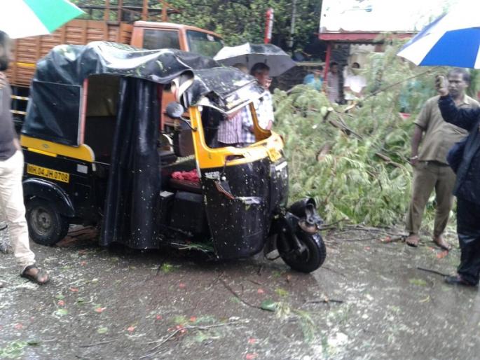 Injured father and lake injured in a road accident | रिक्षावर वृक्ष पडून झालेल्या अपघातात बाप, लेक जखमी