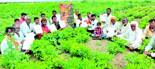 World Tribal Day Forest Leases, Satbara Allocation | जागतिक आदिवासीदिनी वनजमिनींचे पट्टे, सातबारा वाटप World Tribal Day Forest Leases, Satbara Allocation | जागतिक आदिवासीदिनी वनजमिनींचे पट्टे, सातबारा वाटप