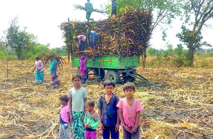 School holidays ... Madam never said that she would pay for school on mobile! | शाळेला सुट्ट्या...मोबाईलवर शाळा भरणार असे मॅडमने सांगितलेच नाही!