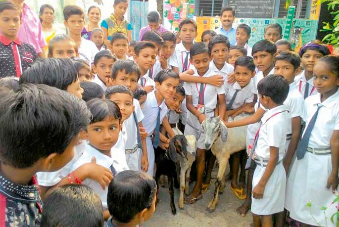 Visakhpur school visits the goat under the people's association | वाहितपूर शाळेला लोकसहभागांतर्गत शेळी भेट Visakhpur school visits the goat under the people's association | वाहितपूर शाळेला लोकसहभागांतर्गत शेळी भेट