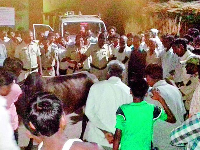 Animals in the forest department built by the Suusund residents | सुसूंदवासीयांनी बांधली वनविभागाच्या वाहनाला जनावरे Animals in the forest department built by the Suusund residents | सुसूंदवासीयांनी बांधली वनविभागाच्या वाहनाला जनावरे