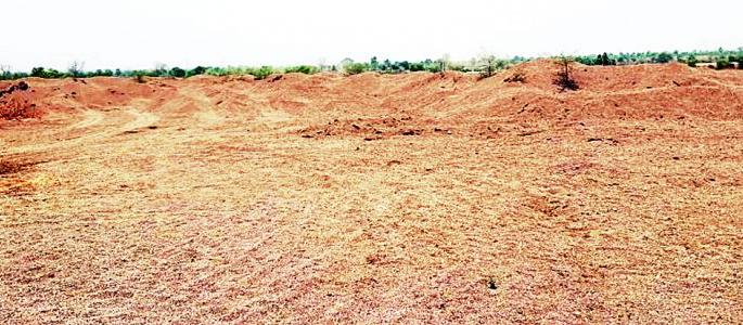 General oil in the sand roller | वाळूसाठ्याच्या रगड्यात सर्वसामान्यांचे तेल General oil in the sand roller | वाळूसाठ्याच्या रगड्यात सर्वसामान्यांचे तेल