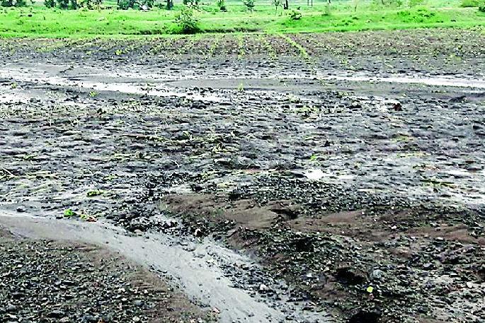 Hundreds of hectares of irrigated farm under irrigated rain | संततधार पावसाने शेकडो हेक्टर शेती पाण्याखाली Hundreds of hectares of irrigated farm under irrigated rain | संततधार पावसाने शेकडो हेक्टर शेती पाण्याखाली