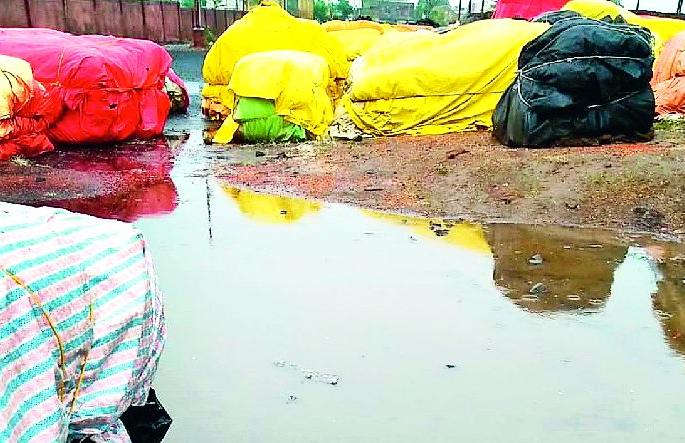 Tourer Beharas in the market committee | बाजार समितीत तूर बेवारस Tourer Beharas in the market committee | बाजार समितीत तूर बेवारस