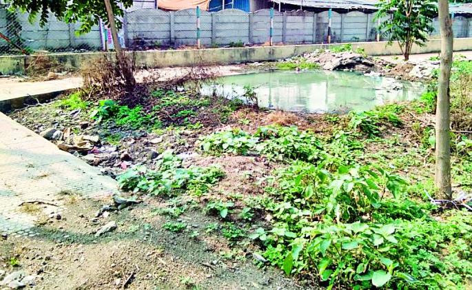 Guttaranga in the Lohara section | लोहारा विभागात गटारगंगा Guttaranga in the Lohara section | लोहारा विभागात गटारगंगा