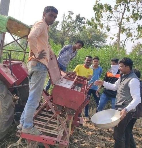 Farmers struggle to get out of traditional farming | पारंपरिक शेतीतून बाहेर पडण्याची शेतकऱ्यांची धडपड; ३५० एकरात करडईची लागवड Farmers struggle to get out of traditional farming | पारंपरिक शेतीतून बाहेर पडण्याची शेतकऱ्यांची धडपड; ३५० एकरात करडईची लागवड