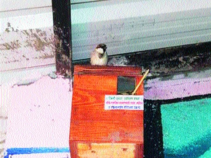  With the help of children, sparrows conservation | मुलांच्या सहकार्याने चिमणी संवर्धनाचा ध्यास