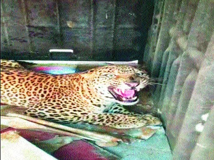 ... then the chances of a higher risk now | ...तर यापुढे धोका अधिक वाढण्याची शक्यता ... then the chances of a higher risk now | ...तर यापुढे धोका अधिक वाढण्याची शक्यता