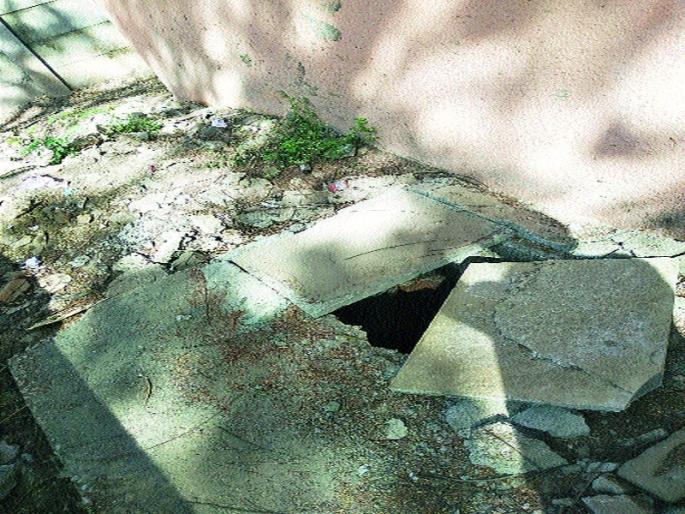 Primary school: dengue-like larvae in drinking water | प्राथमिक विद्यालय : पिण्याच्या पाण्यात डेंग्यूसदृश अळ्या Primary school: dengue-like larvae in drinking water | प्राथमिक विद्यालय : पिण्याच्या पाण्यात डेंग्यूसदृश अळ्या