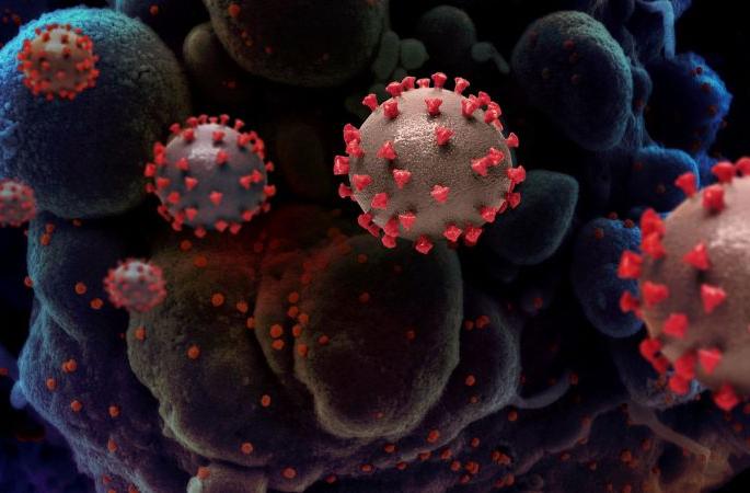 About 70% of patients are critically ill with mutated viruses | Corona Virus; म्युटेशन झालेल्या विषाणूमुळे ७० टक्के रुग्ण गंभीर About 70% of patients are critically ill with mutated viruses | Corona Virus; म्युटेशन झालेल्या विषाणूमुळे ७० टक्के रुग्ण गंभीर