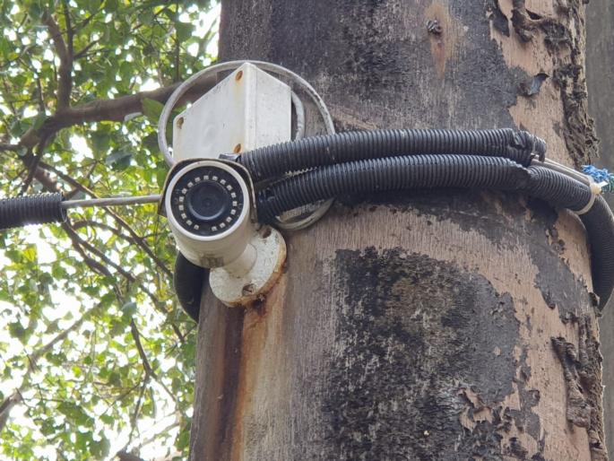 He removed camera mounted on trees at Mira Bhayander Municipal Corporation headquarters but avoided filing a case | मीरा भाईंदर पालिका मुख्यालयातील झाडांवर बसवलेले कॅमेर काढले पण गुन्हा दाखल करण्यास टाळाटाळ  He removed camera mounted on trees at Mira Bhayander Municipal Corporation headquarters but avoided filing a case | मीरा भाईंदर पालिका मुख्यालयातील झाडांवर बसवलेले कॅमेर काढले पण गुन्हा दाखल करण्यास टाळाटाळ