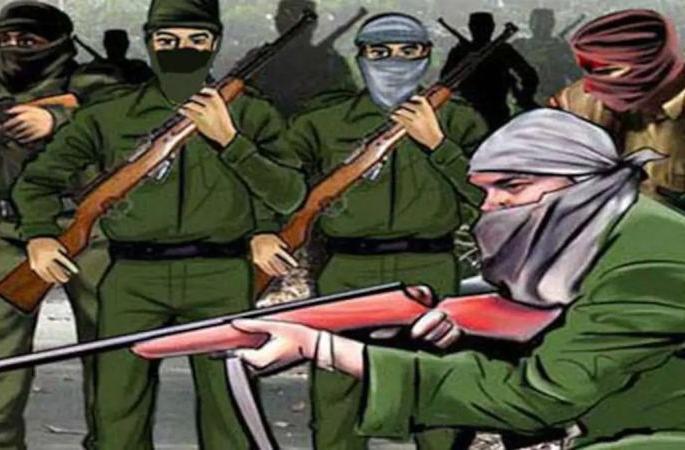 Maoists Attack on youth at Gadchiroli district | गडचिरोली जिल्ह्यात नक्षल्यांनी केला आत्मसमर्पण केलेल्या तरुणांवर गोळीबार
