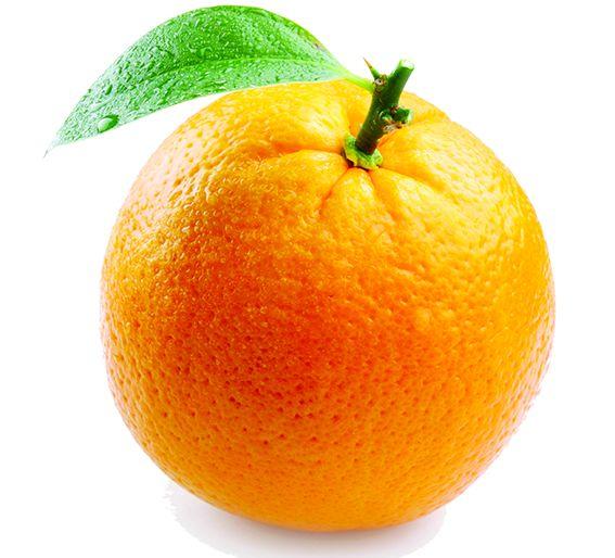 Asking entrepreneurs to privatization of 'Noga' | ‘नोगा’च्या खासगीकरणासाठी उद्योजकांकडून विचारणा; आक्रमक विपणन हवे Asking entrepreneurs to privatization of 'Noga' | ‘नोगा’च्या खासगीकरणासाठी उद्योजकांकडून विचारणा; आक्रमक विपणन हवे