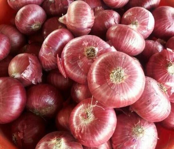 onion rates reduced | कांदा थोडा घसरला; किरकोळमध्ये ६० रुपये किलो onion rates reduced | कांदा थोडा घसरला; किरकोळमध्ये ६० रुपये किलो