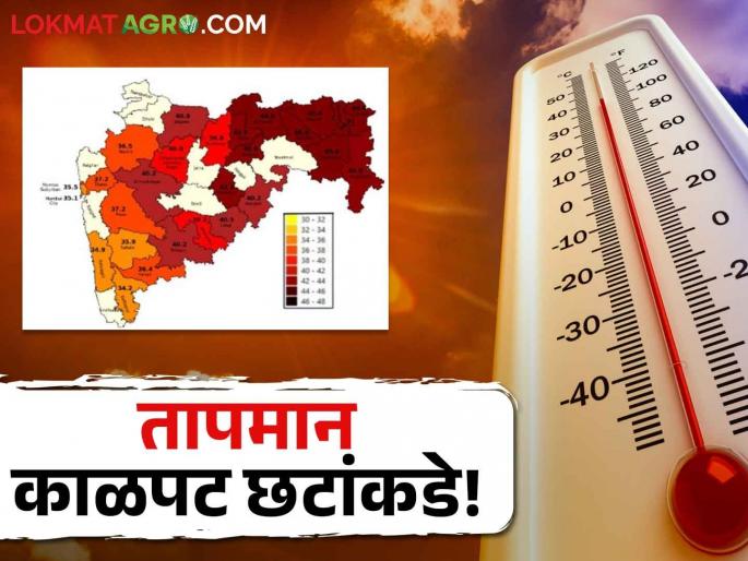 Temperature Maharashtra: From Konkan to Vidarbha, the temperature map turns dark! Where is the temperature in Maharashtra? | Temperature Maharashtra: कोकणातून विदर्भाकडे जाताना तापमानाचा नकाशा काळपट छटांकडे! महाराष्ट्रात कुठे कसे तापमान? Temperature Maharashtra: From Konkan to Vidarbha, the temperature map turns dark! Where is the temperature in Maharashtra? | Temperature Maharashtra: कोकणातून विदर्भाकडे जाताना तापमानाचा नकाशा काळपट छटांकडे! महाराष्ट्रात कुठे कसे तापमान?