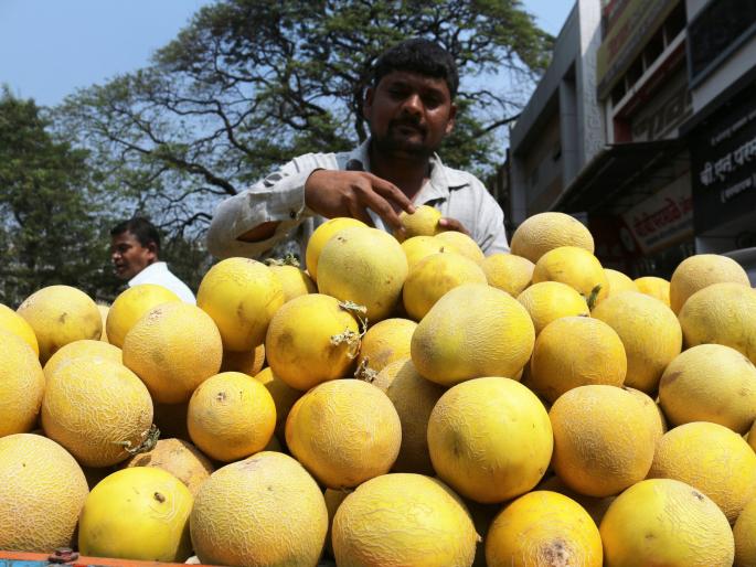 Kolhapur: Demand for Rate, Bar, Shebudana, Market Rises due to Mahashivaratri: Vegetable Rate Stable | कोल्हापूर : रताळे, वरी, शाबूदाण्याला मागणी, महाशिवरात्रीमुळे बाजारात गर्दी : भाज्यांचे दर स्थिर Kolhapur: Demand for Rate, Bar, Shebudana, Market Rises due to Mahashivaratri: Vegetable Rate Stable | कोल्हापूर : रताळे, वरी, शाबूदाण्याला मागणी, महाशिवरात्रीमुळे बाजारात गर्दी : भाज्यांचे दर स्थिर