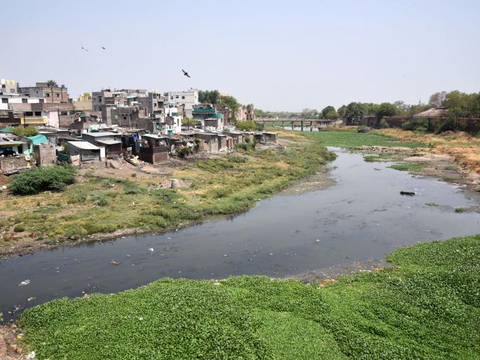 Destiny should not be cured, destiny should be clear! | नियतीचा नाईलाज नको, नियत साफ हवी! Destiny should not be cured, destiny should be clear! | नियतीचा नाईलाज नको, नियत साफ हवी!