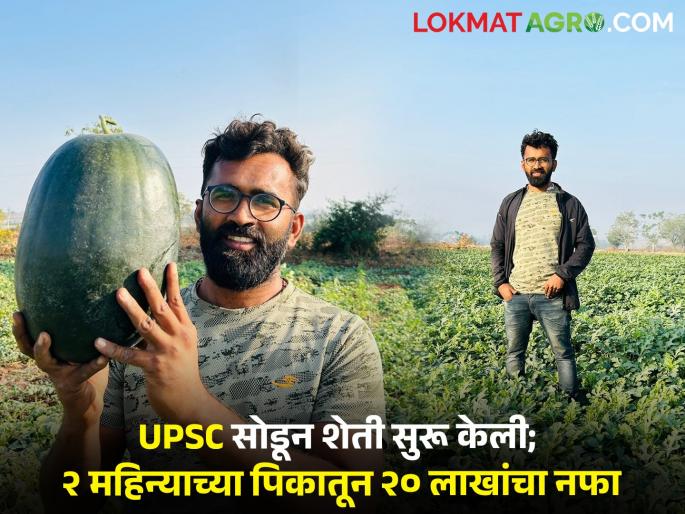 Agricos vinod navale youth farmer returns home Pune after leaving UPSC 20 lakhs earned Kalingad two months | UPSCची तयारी सोडून शेती केली; दिल्लीतून घरी आलेल्या तरूणाने २ महिन्यात कमावले २० लाख Agricos vinod navale youth farmer returns home Pune after leaving UPSC 20 lakhs earned Kalingad two months | UPSCची तयारी सोडून शेती केली; दिल्लीतून घरी आलेल्या तरूणाने २ महिन्यात कमावले २० लाख