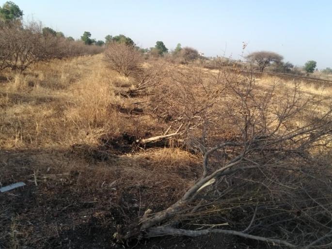 Kunda on pomegranate, due to lack of water at Adgaon dam | आडगाव रेपाळ येथे पाण्याअभावी डाळिंबबागांवर कु-हाड