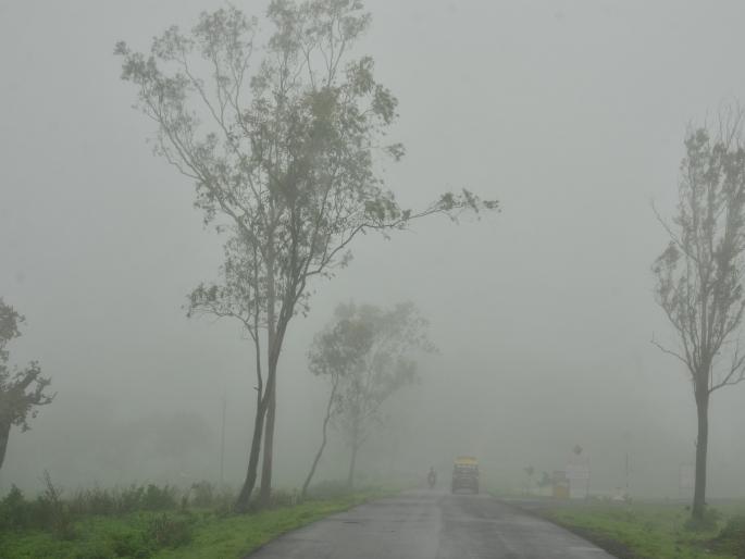 The cloud burst in Vidarbha; Flooding due to heavy rains | विदर्भात आभाळ फाटले; अतिवृष्टीमुळे पूरपरिस्थिती The cloud burst in Vidarbha; Flooding due to heavy rains | विदर्भात आभाळ फाटले; अतिवृष्टीमुळे पूरपरिस्थिती