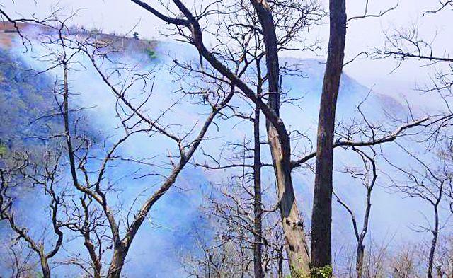 Mudki Valley | मडकी खोऱ्यात वणवा धुमसला