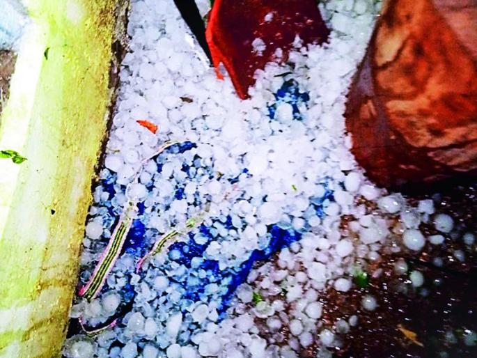 Hail strikes in Corona crisis | कोरोना संकटात गारपीटीचा तडाखा Hail strikes in Corona crisis | कोरोना संकटात गारपीटीचा तडाखा