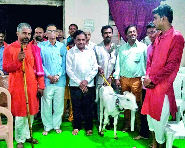 Spontaneous reception of Goseva Sadbhavana Yatra | गोसेवा सद्भावना पदयात्रेचे उत्स्फूर्त स्वागत