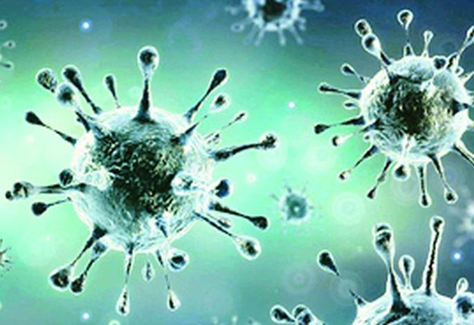 Rare coronary arthritis patients roam the village! | विरलीत कोरोनाबाधित रुग्णांची गावभर भ्रमंती ! Rare coronary arthritis patients roam the village! | विरलीत कोरोनाबाधित रुग्णांची गावभर भ्रमंती !