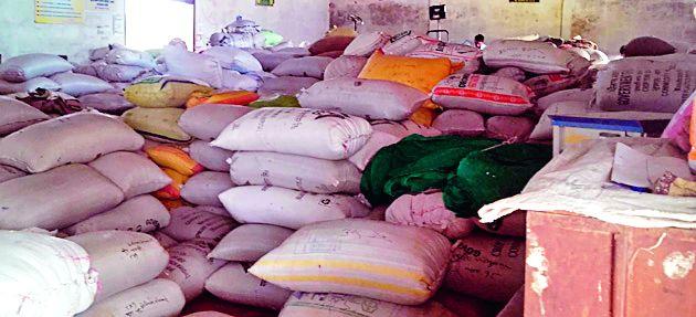 RABI PIKLA BUSINESS | रबी पिकाला व्यापाऱ्यांकरवी अल्प भाव