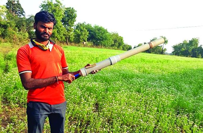 Young farmer's gun sounds loud in farmland! | युवा शेतकऱ्याच्या तोफेचा शेतशिवारात बुलंद आवाज! Young farmer's gun sounds loud in farmland! | युवा शेतकऱ्याच्या तोफेचा शेतशिवारात बुलंद आवाज!