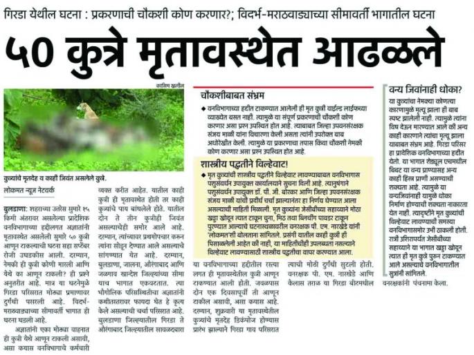 Dead dogs case of buldhana now in animal trouble prevention committee | गिरडा मृत कुत्र्यांचे प्रकरण प्राणी क्लेष प्रतिबंधक समितीत