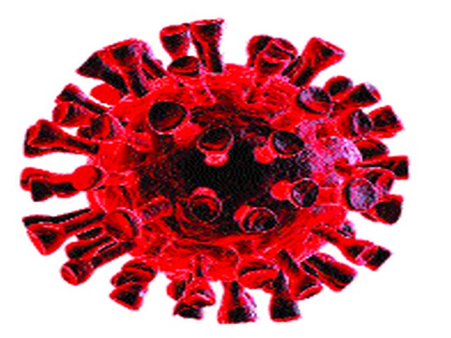 Eleven killed in the city | शहरात उच्चांकी ११ जणांचे बळी Eleven killed in the city | शहरात उच्चांकी ११ जणांचे बळी