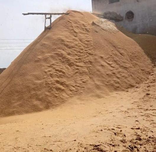 Five lakh tonnes of paddy in Vidarbha on the way to decay | विदर्भातील पाचलाख टन धानकोंडा सडण्याच्या मार्गावर