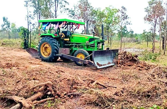 Oops! Hundreds of trees felled for planting | अरेरे ! वृक्षारोपण करण्यासाठी केली शेकडो झाडांची कत्तल Oops! Hundreds of trees felled for planting | अरेरे ! वृक्षारोपण करण्यासाठी केली शेकडो झाडांची कत्तल