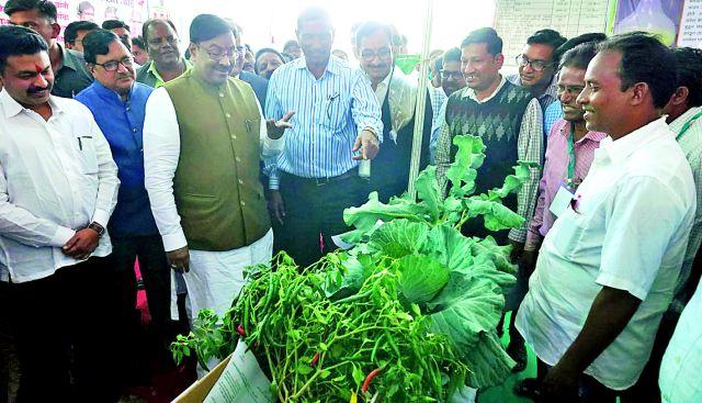 Enrich the district agriculture through Panchasrity | पंचसूत्रीतून जिल्हा कृषी समृद्ध करा