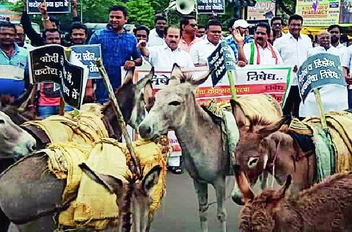 The government's protest against the removal of an ass | गाढवाची धिंड काढून शासनाचा निषेध The government's protest against the removal of an ass | गाढवाची धिंड काढून शासनाचा निषेध
