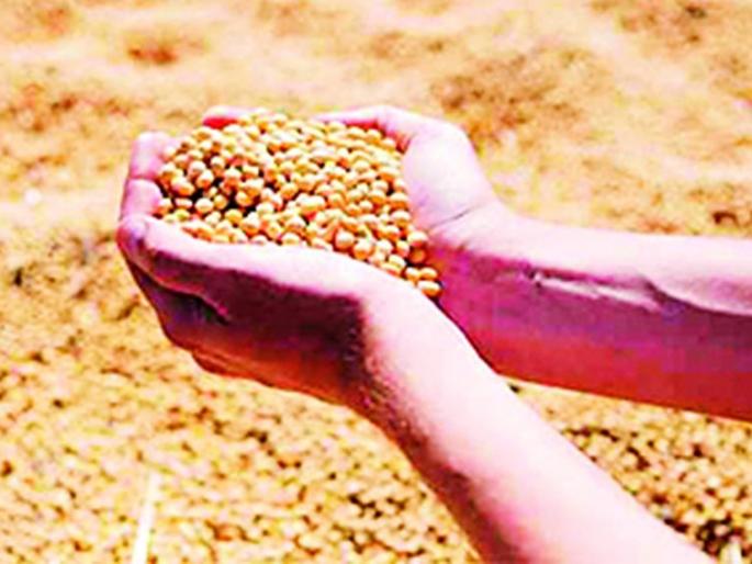 The price of the crop in the market committee is priceless | बाजार समितीतच पिकाला कवडीमोल भाव The price of the crop in the market committee is priceless | बाजार समितीतच पिकाला कवडीमोल भाव