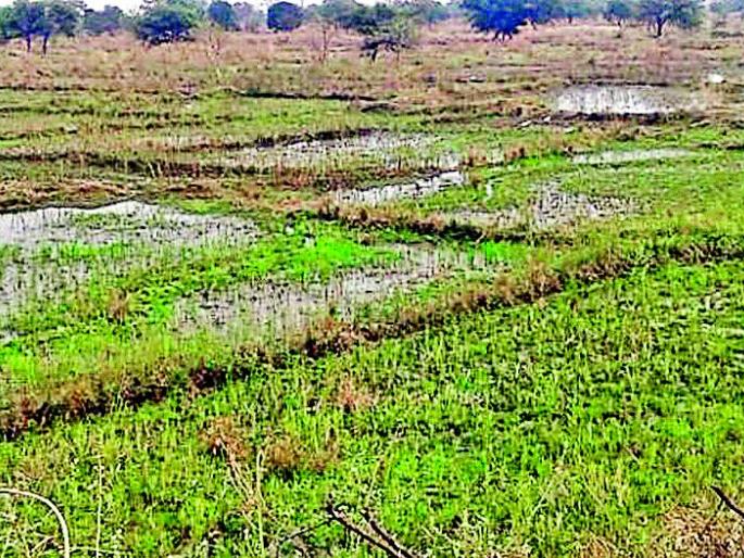 Pond water left for construction | बांधकामाकरिता सोडले चक्क तलावाचे पाणी Pond water left for construction | बांधकामाकरिता सोडले चक्क तलावाचे पाणी