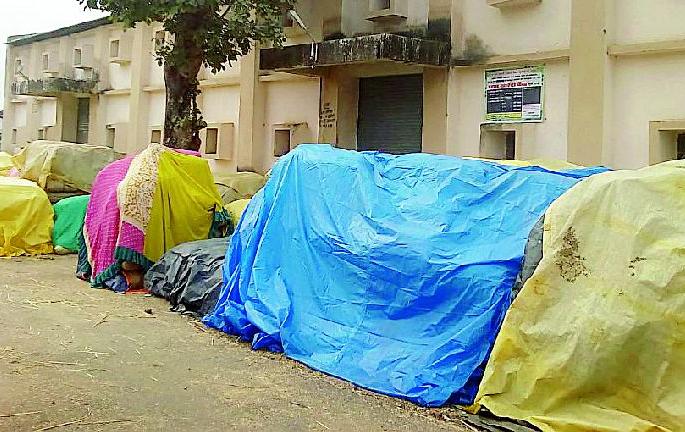 Paddy purchased | बारदाण्याअभावी धान खरेदी रखडली Paddy purchased | बारदाण्याअभावी धान खरेदी रखडली