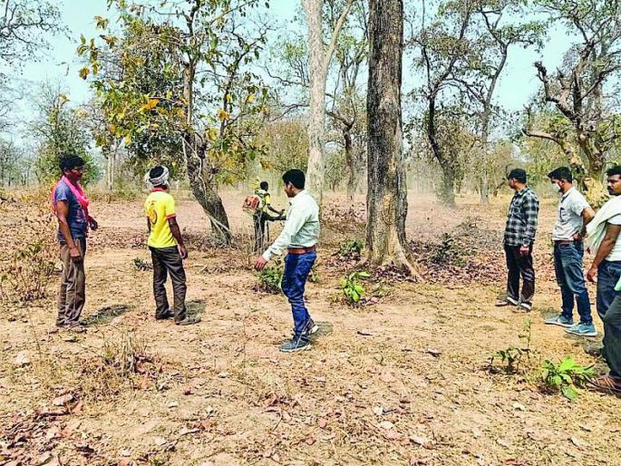 Innovative measures of forest department to stop one way | वनवे थांबविण्यासाठी वनविभागाची नाविण्यपूर्ण उपाययाेजना Innovative measures of forest department to stop one way | वनवे थांबविण्यासाठी वनविभागाची नाविण्यपूर्ण उपाययाेजना