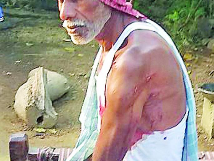 Injured in raid attack | रानडुकराच्या हल्ल्यात इसम जखमी Injured in raid attack | रानडुकराच्या हल्ल्यात इसम जखमी