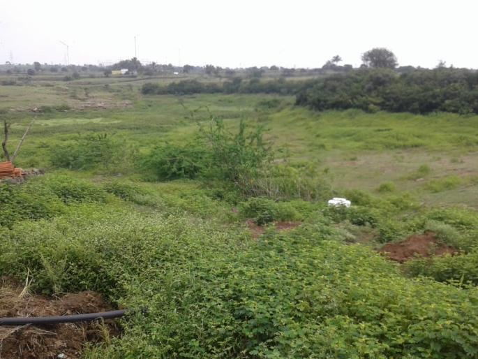 Varunaraja's Chukwacha in Ghatandre area | घाटनांद्रे परिसरामध्ये वरुणराजाचा चकवाच Varunaraja's Chukwacha in Ghatandre area | घाटनांद्रे परिसरामध्ये वरुणराजाचा चकवाच