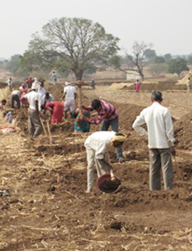 Four and a half thousand laborers worked on MGNREGA | साडेचार हजार मजूर मनरेगाच्या कामावर Four and a half thousand laborers worked on MGNREGA | साडेचार हजार मजूर मनरेगाच्या कामावर