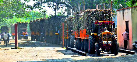 Sugar factories started in the smoke shop | साखर कारखाने धुमधडाक्यात सुरू Sugar factories started in the smoke shop | साखर कारखाने धुमधडाक्यात सुरू