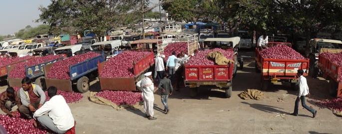 Onion prices halved in nine days | नऊ दिवसांत कांदा भाव निम्म्यावर