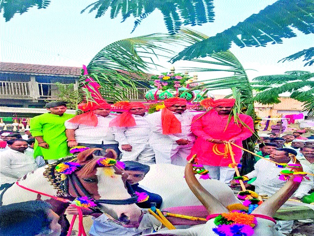 Start the journey of Matoba Maharaj | मतोबा महाराज यात्रेला प्रारंभ Start the journey of Matoba Maharaj | मतोबा महाराज यात्रेला प्रारंभ