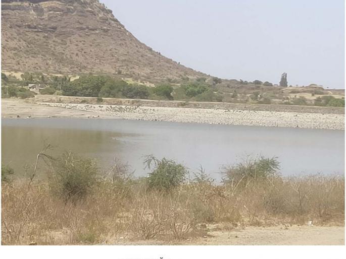 Waiting for perfect watering | परिपूर्ण पाणीयोजनेची प्रतीक्षा