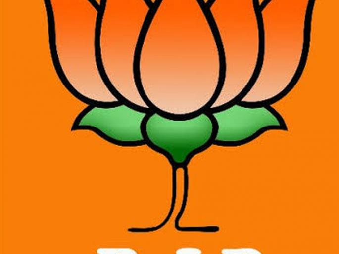 Report to BJP on revolt in the region | Vidhan Sabha 2019 : भाजपातील बंडखोरीबाबत प्रदेशकडे अहवाल सादर