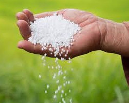 Fertilizer was created due to lack of labor | मजुरांअभावी निर्माण झाली खतटंचाई Fertilizer was created due to lack of labor | मजुरांअभावी निर्माण झाली खतटंचाई